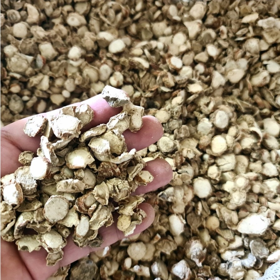 

SGS Kencur Kering Kualitas Bagus 1kg