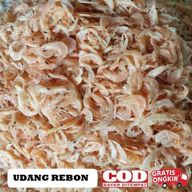 

Udang rebon 100 gram / Gragu / Grago