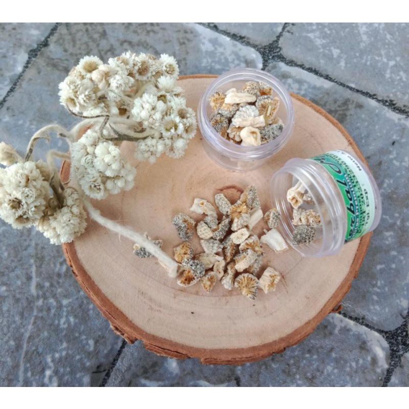 Mpot Biang Maz (Putih)