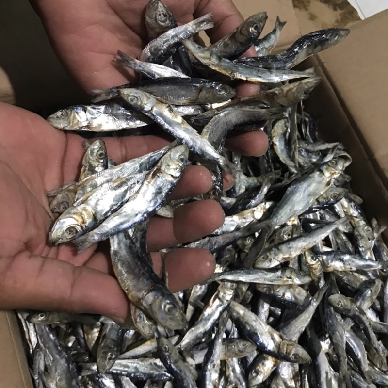 

Ikan Asin Semenit/Teri Lemet Kering Enak 1kg terlaris dan Termurah