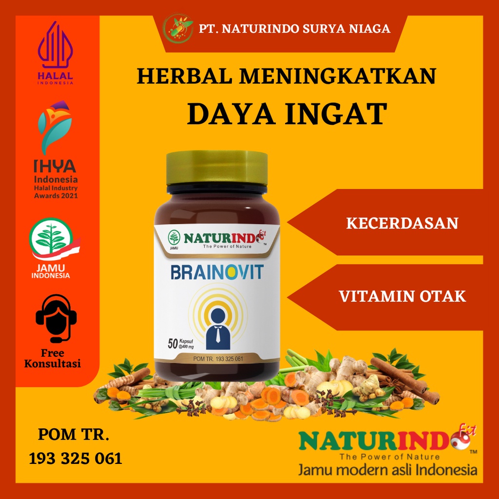 Suplemen Daya Ingat Konsentrasi Daya Ingat Otak Vitamin Nutrisi Otak Daya Ingat Kecerdasan Konsentra