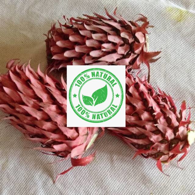 

Paket hemat 600grm buah nanas merah muda