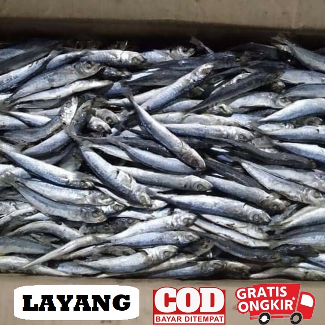 

Ikan asin layang 100 gram / ikan rencek / ikan klotok