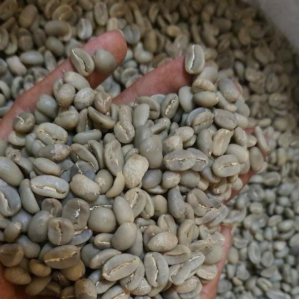

green bean / biji kopi mandheling 1kg - dryhull