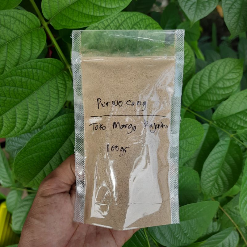 

Bubuk Purwoceng 50gram Serbuk Akar Purwaceng