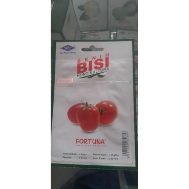 Benih tomat fortuna bisi