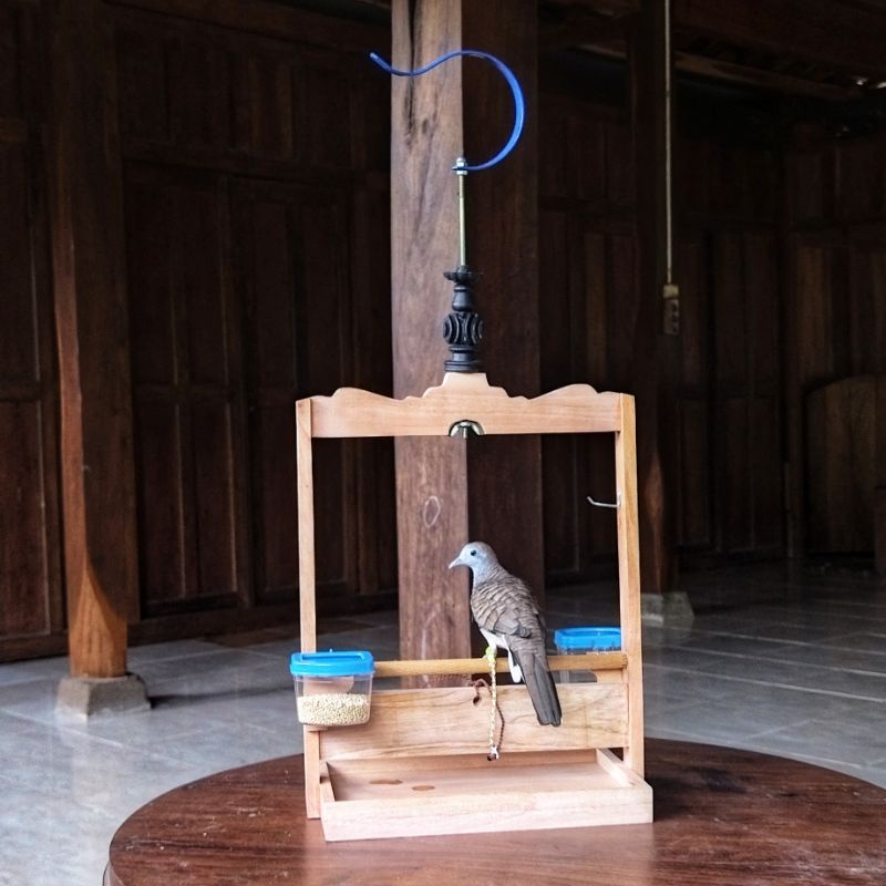 Sangkar Perkutut Sangkar Layang Perkutut Kandang Perkutut Lokal Bangkok