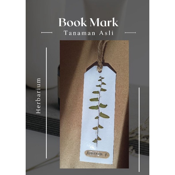 

mine.plant Handmade Bookmark/Penanda Buku/ Pembatas Buku Herbarium, Pressed flower, Bunga Kering Murah Aesthetic