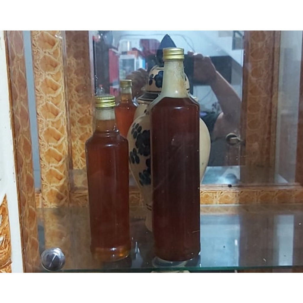 

Madu Murni Hutan Sumatera - Kerinci - Jambi - Natural Lebah Liar -1300 Gram
