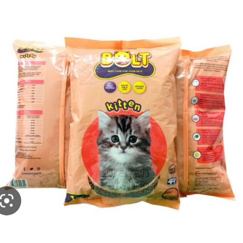 Bolt kitten