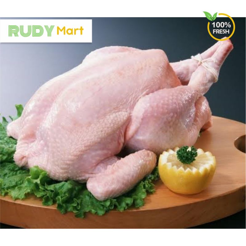 

AYAM BROILER SEGAR BARU DISEMBELIH 900gr + KEPALA DAN CEKER