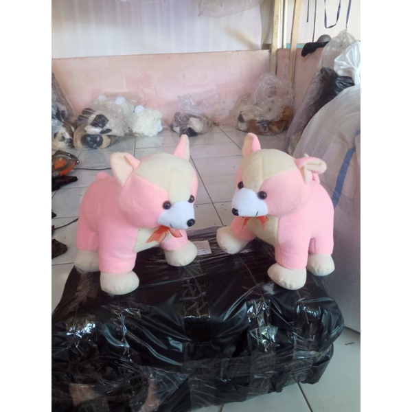 boneka kucing cantik pelboa ukuran L