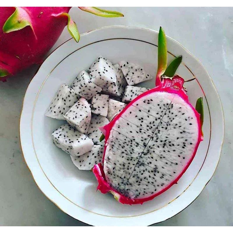 

Buah naga putih 1 kg