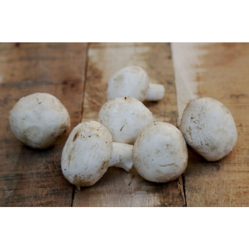 

Jamur kancing/ Campignon