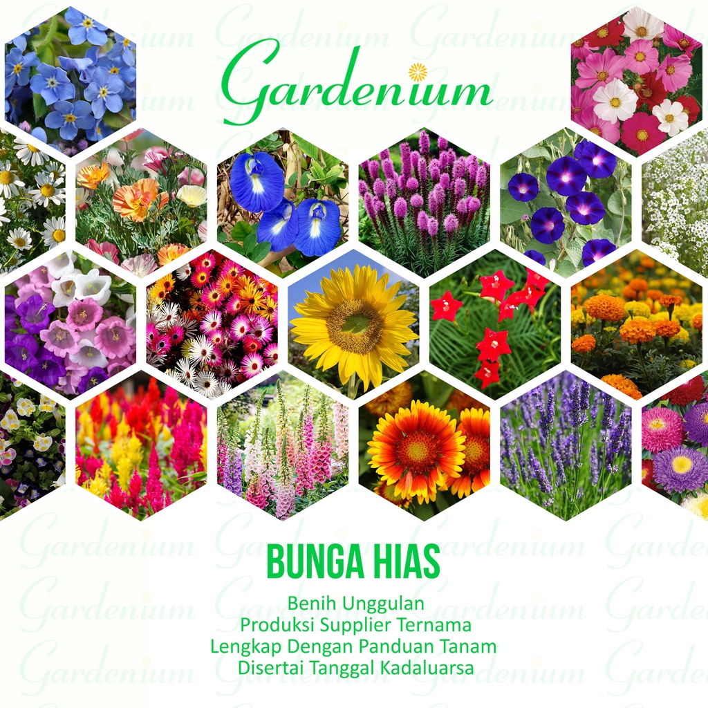 Macam Macam Benih Bunga Paktani