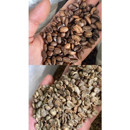 

GREEN BEANS ARABIKA ACEH GAYO KOMERSIAL