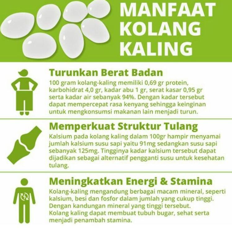 ((B-8-U ✔> MANISAN KOLANG KALING MANFAAT (100% GULA ASLI) New Sale terviral