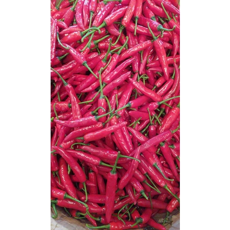 

cabe merah besar / cabe TW merah Super 1 kg