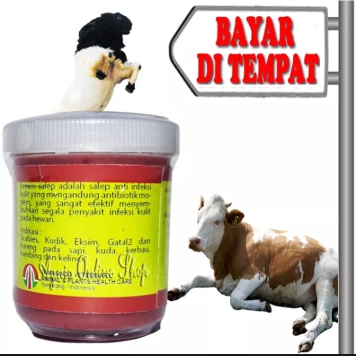 OBAT BOROK KORENG SAPI KAMBING KERBAU ANTI INFEKSI KULIT SALEP EXEEM CREAM AMPUH