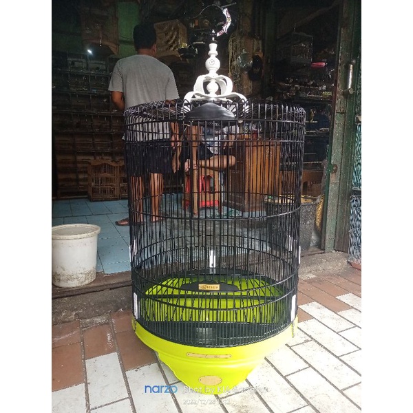 sangkar kandang murai batu A1 tebok pvc