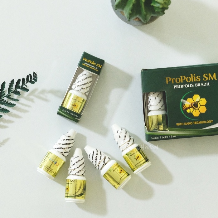 Propolis SM Obat Pelunak / Penghancur Telinga Kuping Kotoran Yang Keras Tersumbat Tuli Budeg Gatal Anak dan Dewasa Isi 6 Ml Herbal Original Bpom