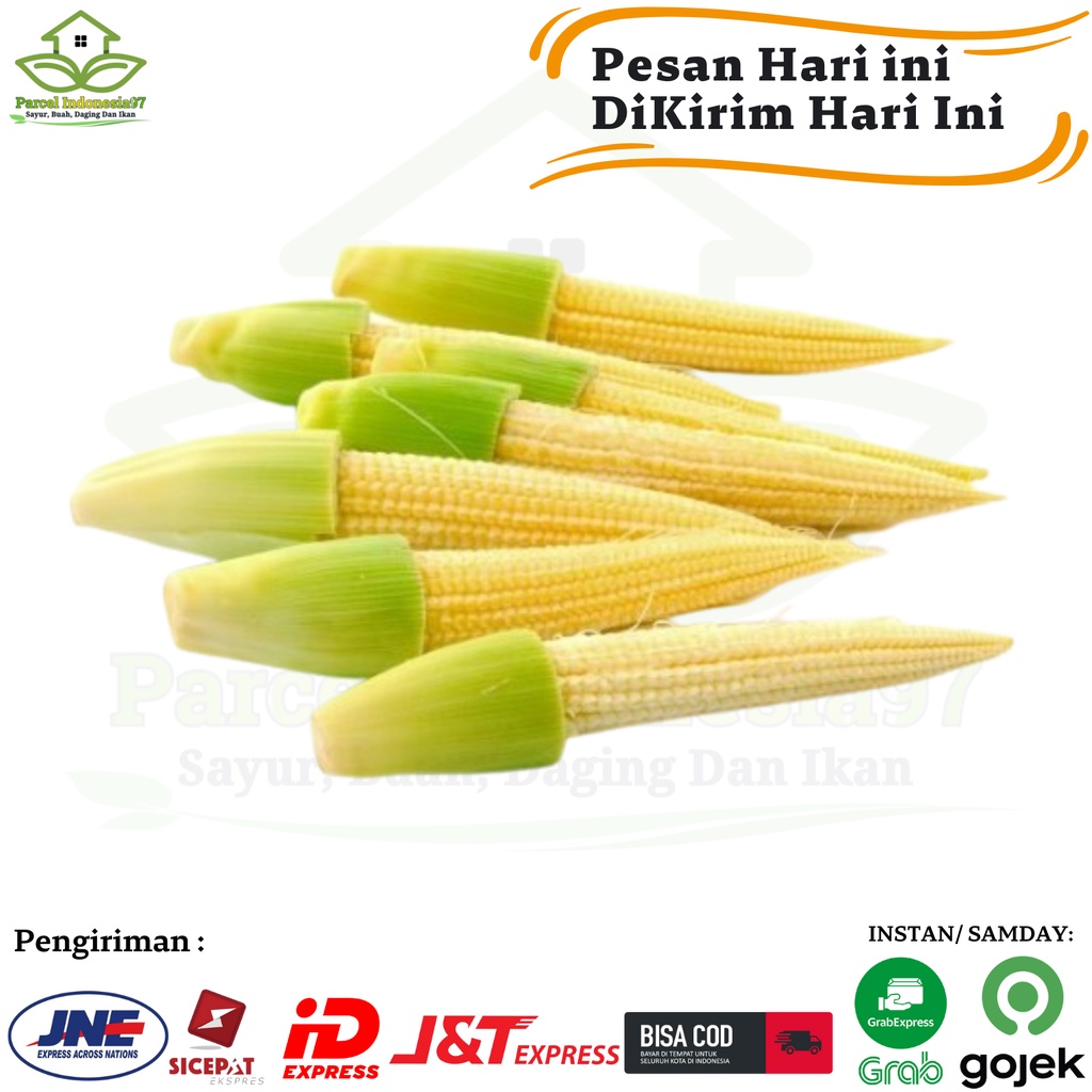 

Jagung Semi jagung kecil baby 250 gram
