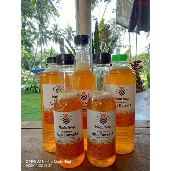 

Madu Murni _ Asli _ Pure Honey Lebah Liar Apis Dorsata