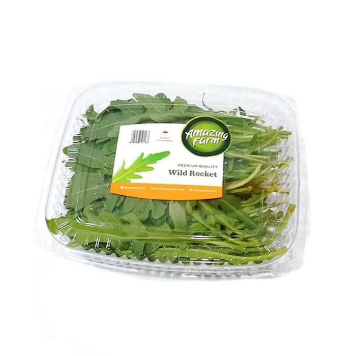 

Wild Rocket Hydroponic Amazing Farm Fresh Hidroponik Salad 100 Gr