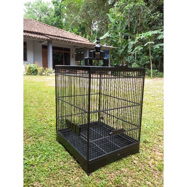 Sangkar Kotak Cungkok Harian Hitam Doff