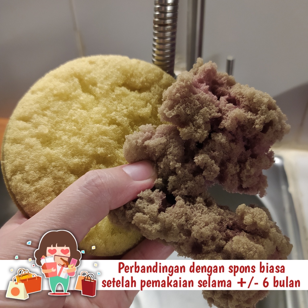 Spons Cuci Piring Microfiber Super Bersih Awet Tahan Lama Lembut Di Tangan Spon Karakter Lucu Ukuran Besar Murah Sponge Cuci Motor Mobil 1 Lusin