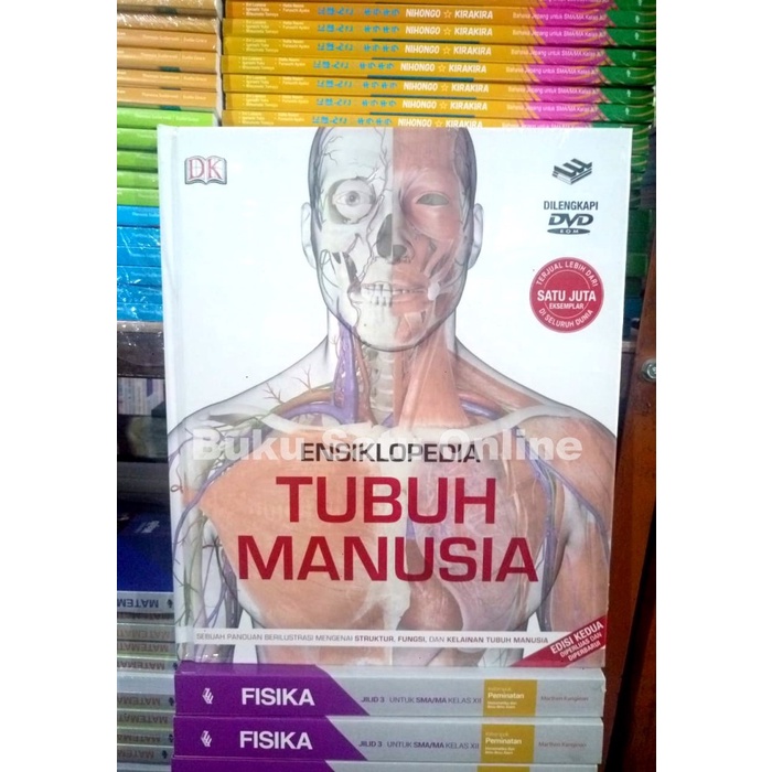 Ensiklopedia Ensiklopedia Tubuh Manusia - Erlangga