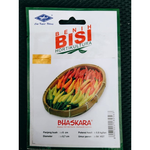 benih cabai bhaskara