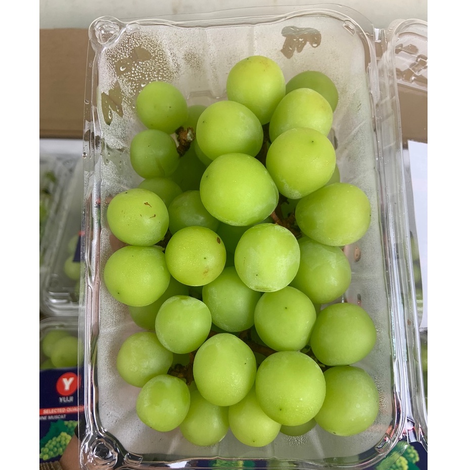 

Anggur Shine muscat pack / 5 kg Size 10 x 500gr