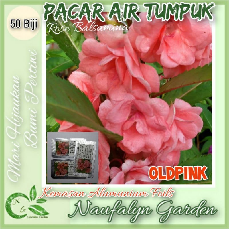 50 Benih Bibit Bunga Pacar Air Rose Balsamina Oldpink