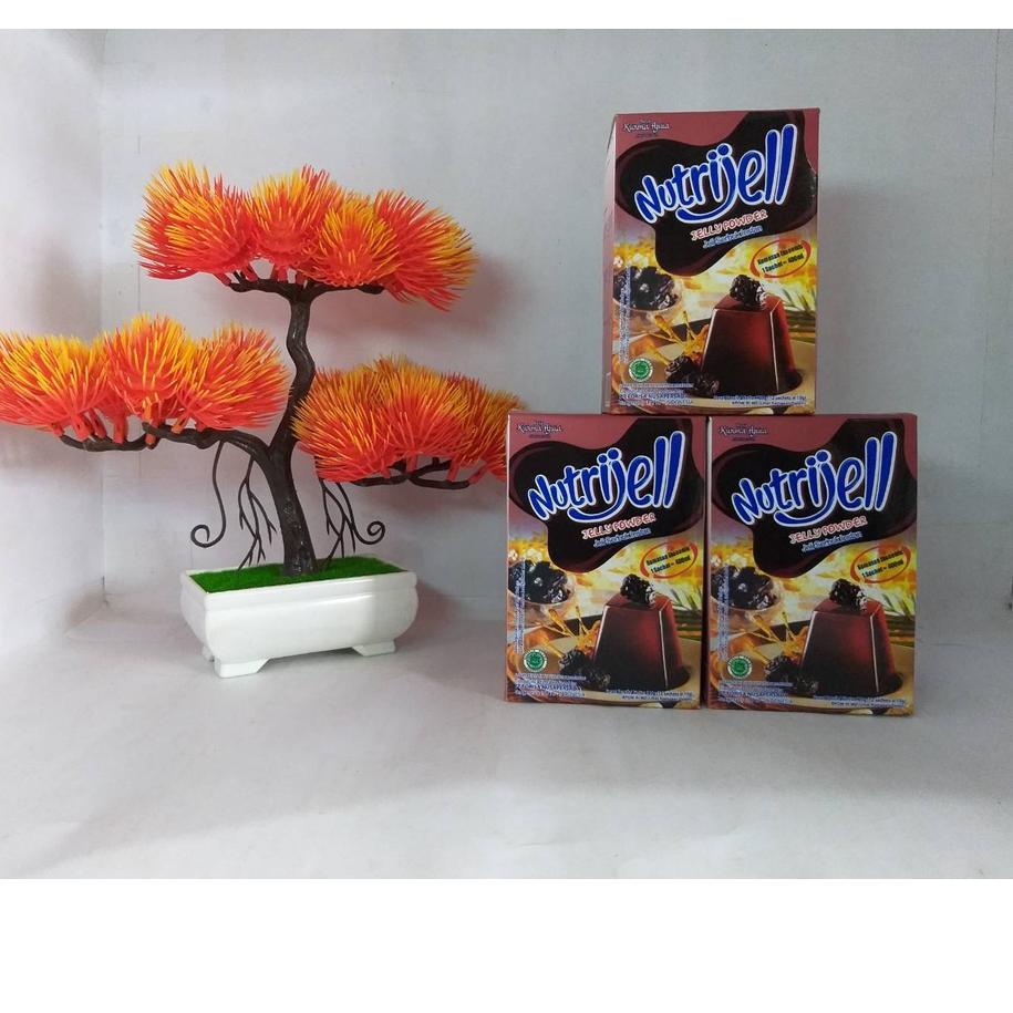 

[Q-74 ✉] Nutrijell Agar Kurma Ajwa 10gr 1 Box Agar-Agar Nutrijel Varian Buah Kurma Jelly Powder Kemasan Ekonomis-trending