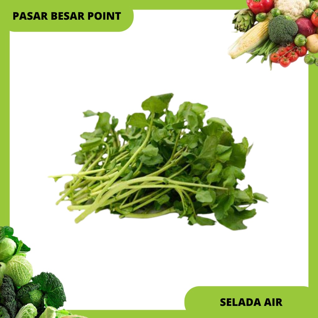 

sayur slada air