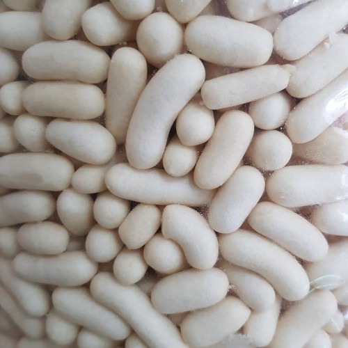 

PASAR ONLINE MURAH - PILUS 250GR KUE KERING