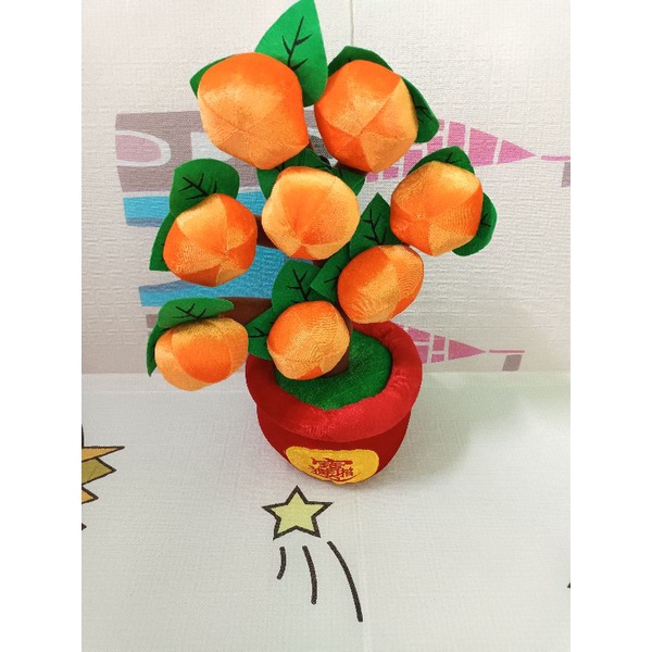 Pohon jeruk imlek Size L