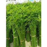 

Sayur Pakis Segar 1 ikat