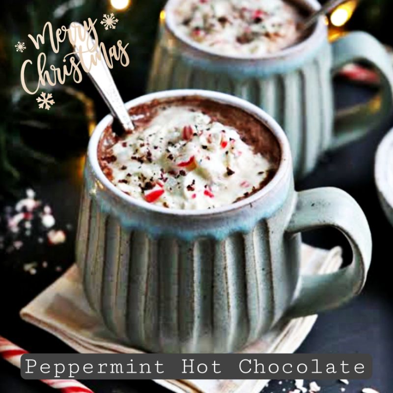 BATH &amp; BODY WORKS BBW PEPPERMINT HOT CHOCOLATE 3 WICK SCENTED CANDLE 411 G