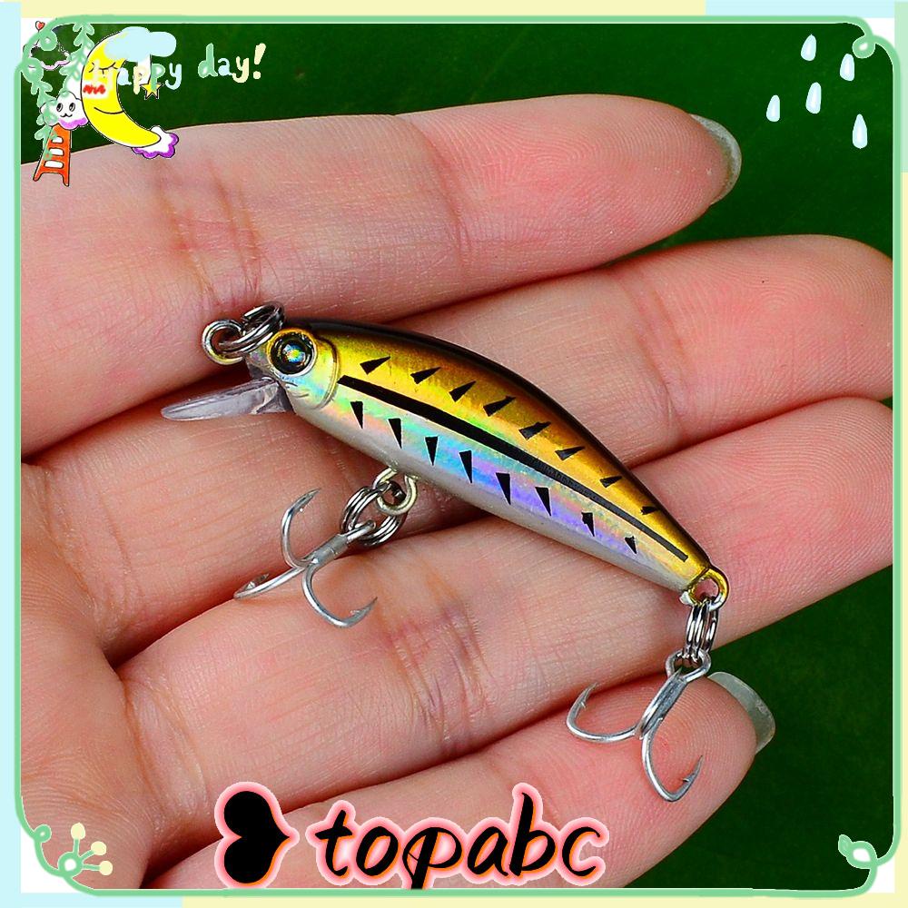 Top Slowly Sinking Minnow Baits Desain Jepang Crankbaits Striped bass Minnow Lures