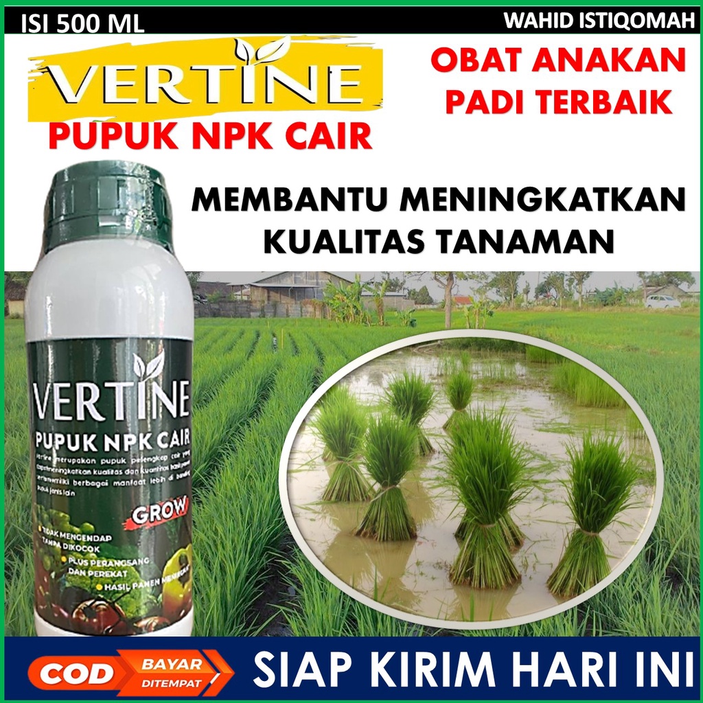 SIAP KIRIM HARI INI VERTINE-GROW pupuk cair  anakan padi sawah pupuk anakan  padi cair pengganti ure