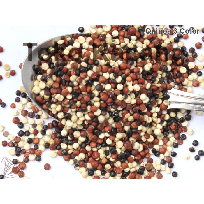 

Natural Tri Color Quinoa - 500G Tx0495
