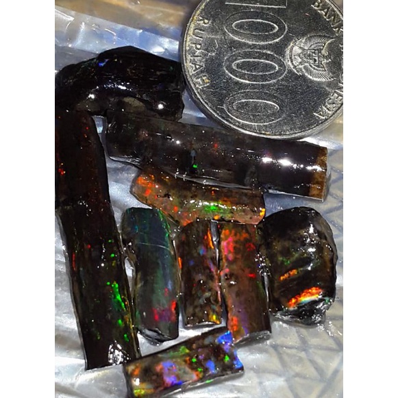 PAKET BLACK OPAL SEMPUR BANTEN #18