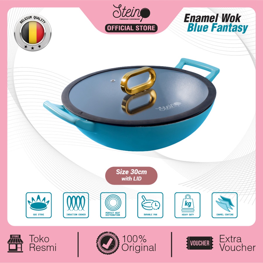 STEIN Cast Iron Wok 30 Inner Coating Enamel Belgium Non-Stick Misty Green-Blue Fantasy Wok30