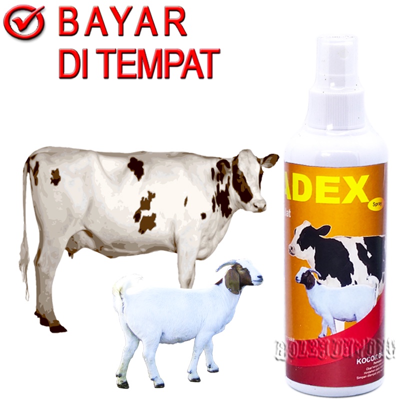 KULFADEX SPRAY OBAT KORENG SAPI KAMBING GUDIX JAMUR EKSIM