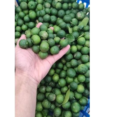 

READY ✅jeruk limau kecil 1kg|RA9