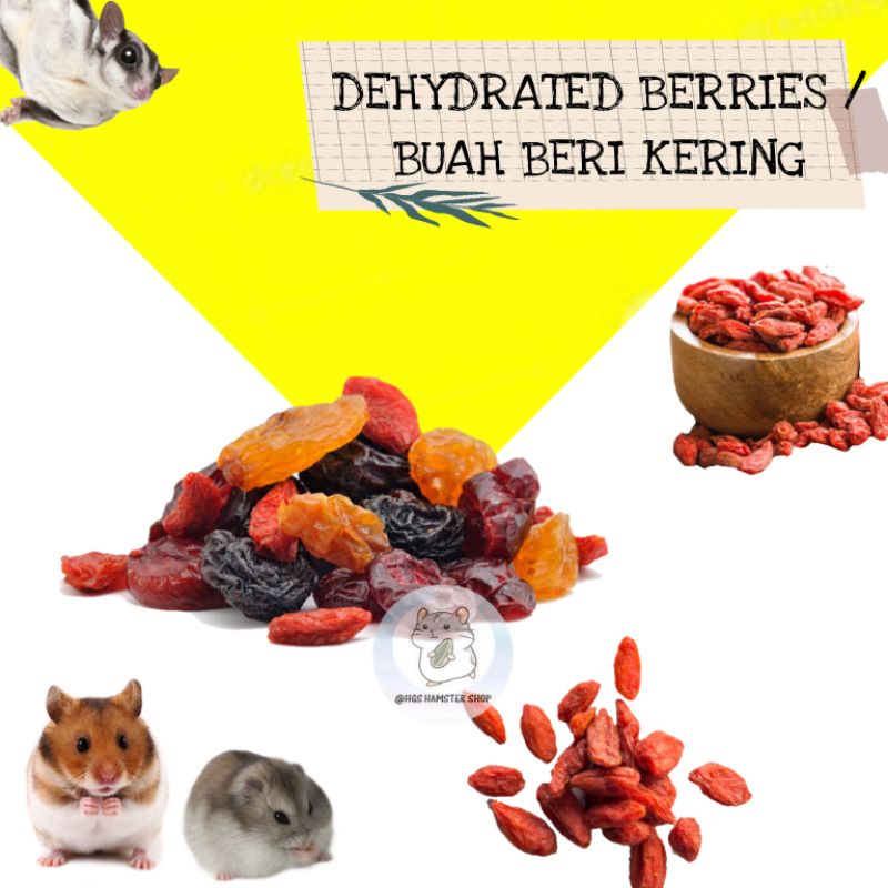 Dehydrated Berries / Buah Beri Kering | Snack Hamster,  Kelinci, SG