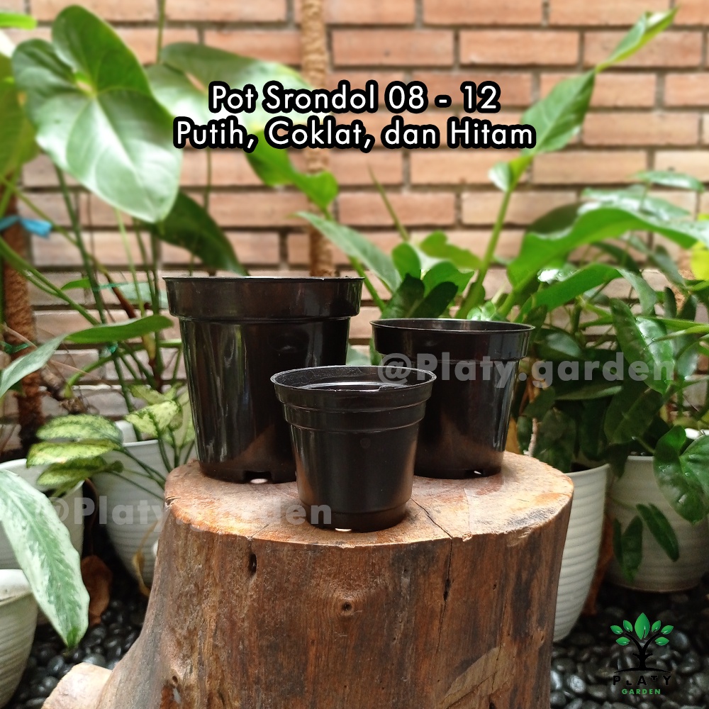 Pot Srondol 08 10 12 Hitam Coklat Putih | Pot Polos Ruplas Srondol