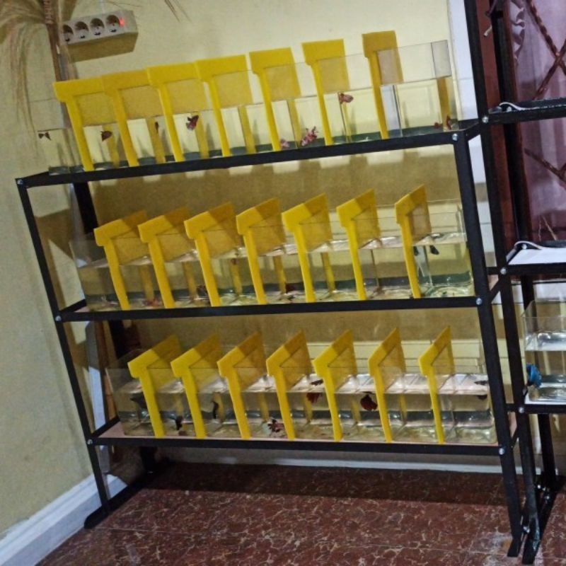 Rak ikan cupang 3susun 100X17X90